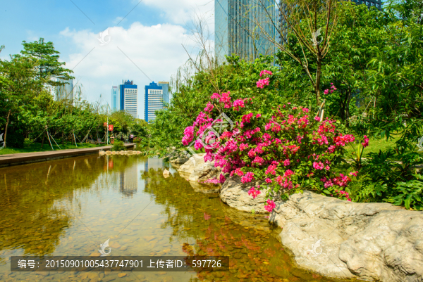 花城廣場(chǎng)園林綠化