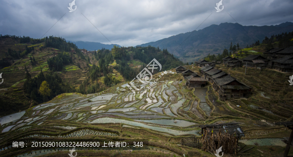 貴州黔東南加鳩梯田