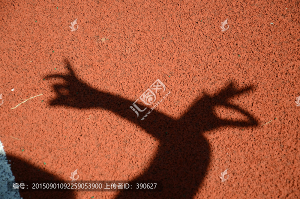 影子