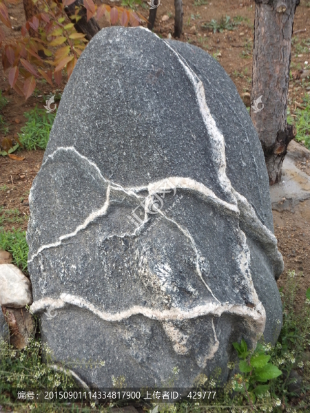 石頭