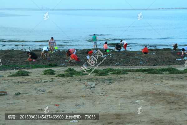 趕海人