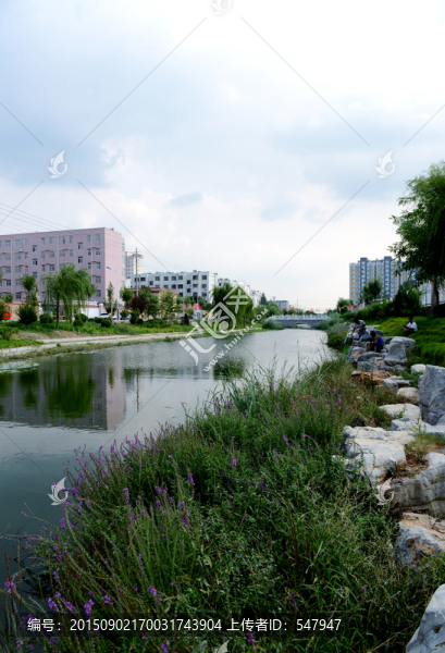 城市綠地,園林景觀