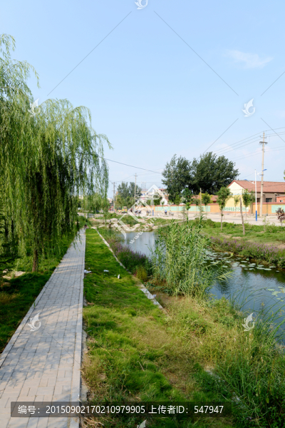 城市綠地,園林景觀