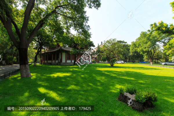 北京大學辦公樓草坪樹木