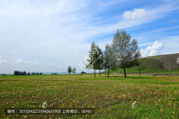 原野樹林