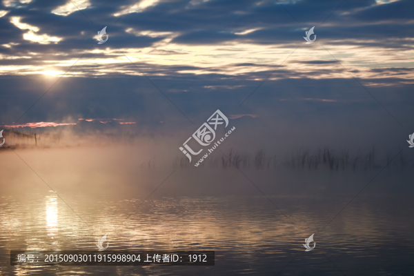 天鵝