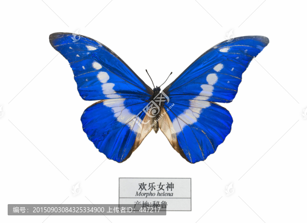 秘魯歡樂女神