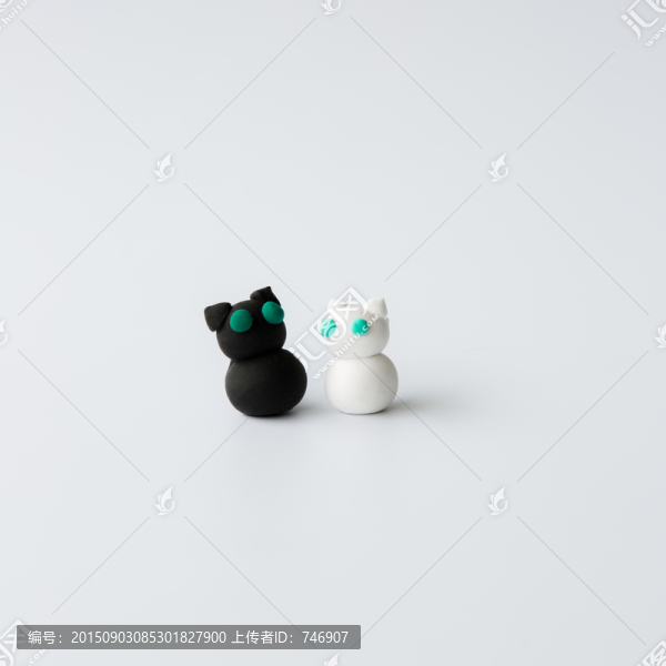 黑貓白貓