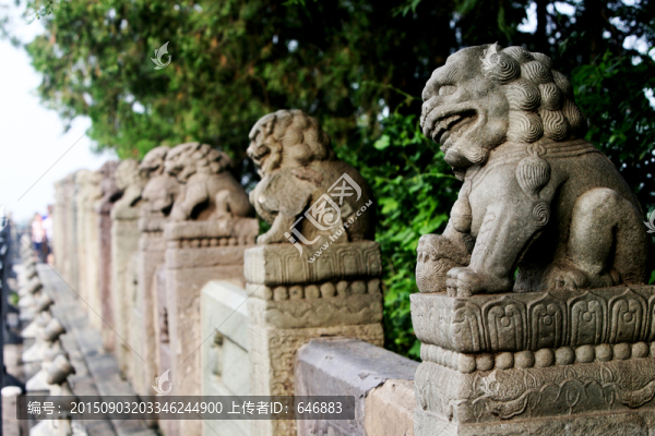獅子,石雕,北京盧溝橋