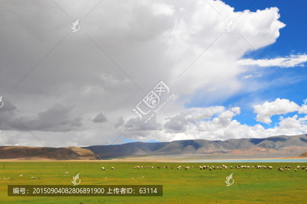 西藏風(fēng)光,高原濕地,藍(lán)天白云