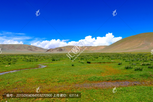西藏風(fēng)光,高原濕地,藍(lán)天白云