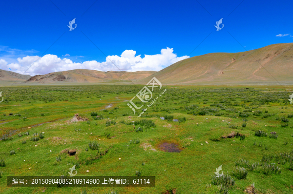 西藏風(fēng)光,高原濕地,藍(lán)天白云