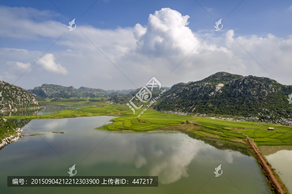 云南沾益海豐濕地