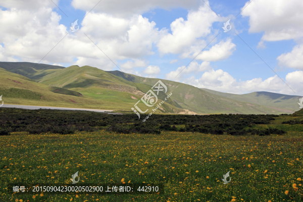 草原風(fēng)光
