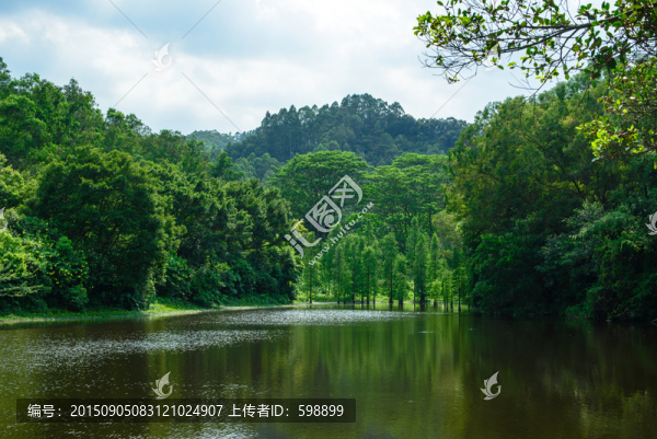 森林湖泊