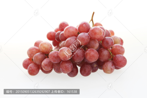 葡萄,紅提子