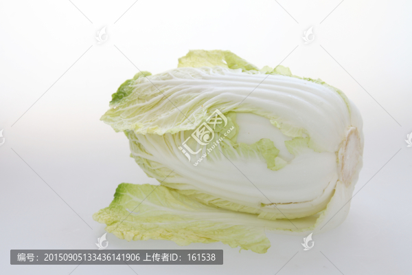 大白菜