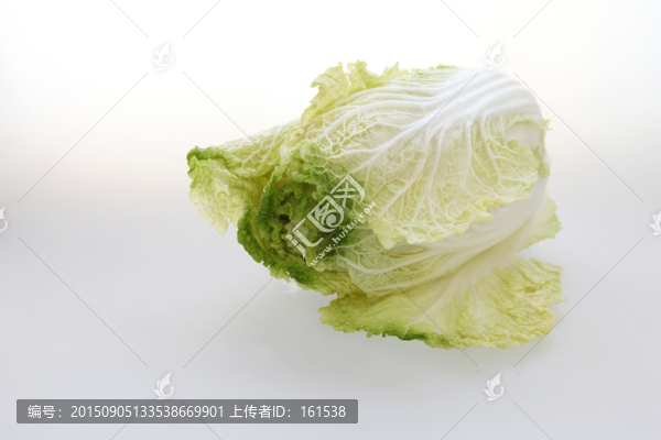 大白菜,白菜