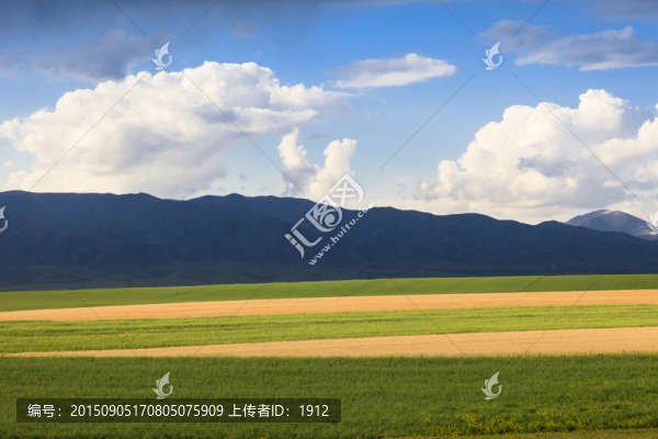 田野