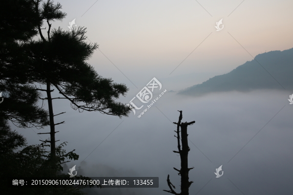 晨霧