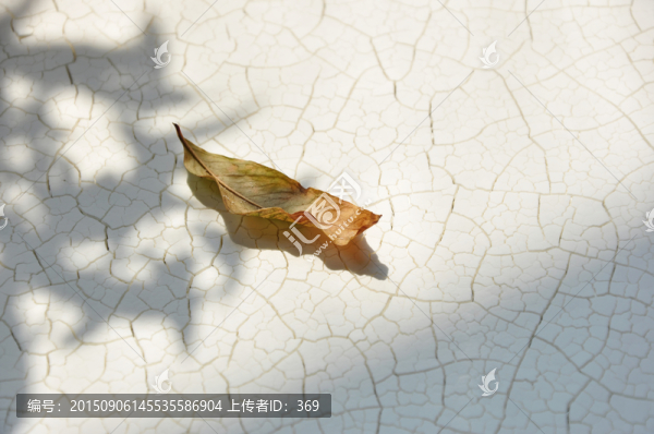 旱災(zāi)