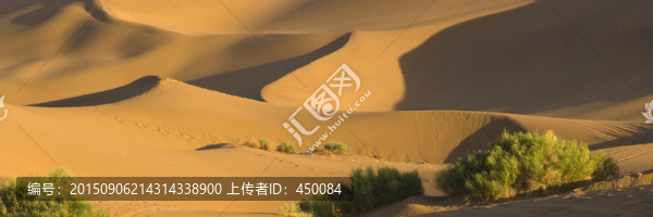 沙漠