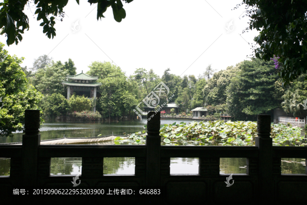 荔枝灣,花園,風光