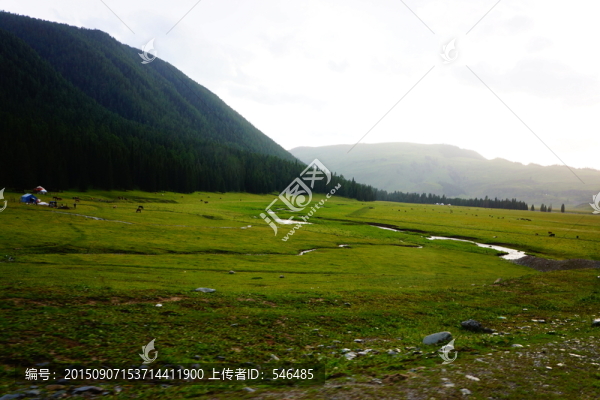 高山牧場
