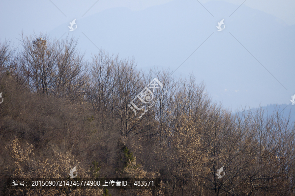 高山
