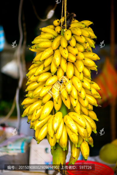 一串大蕉香蕉