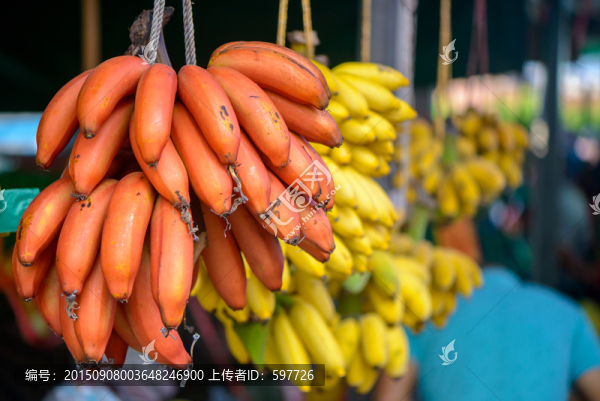 一串串的香蕉