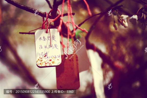 風(fēng)情