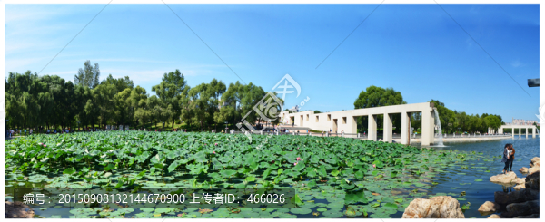 長(zhǎng)春世界雕塑公園荷塘
