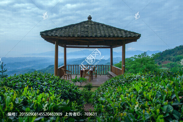 高山茶亭