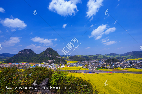 羅平金雞嶺油菜花