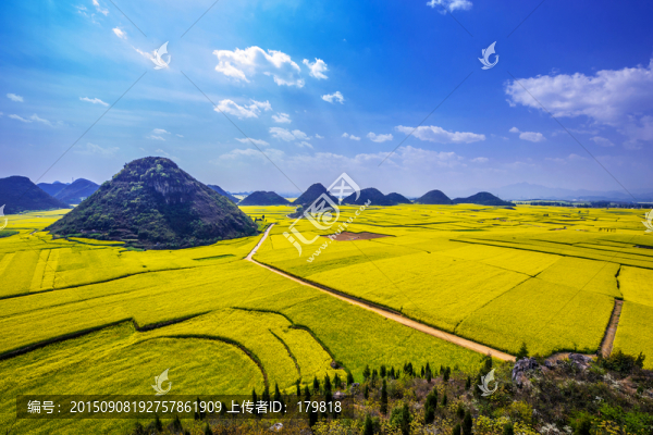 羅平金雞嶺