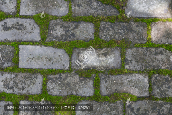 生態(tài)人行道,高清