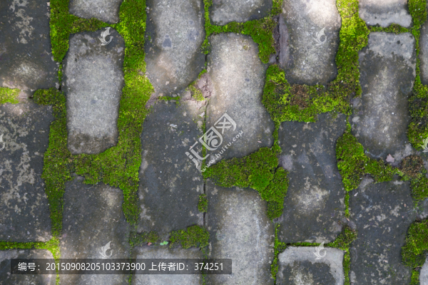 生態(tài)人行道,高清