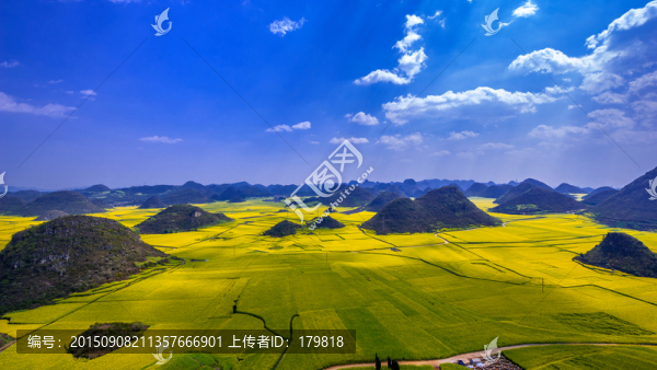 羅平金雞嶺
