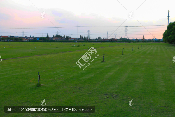 草坪