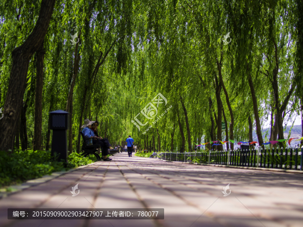 林蔭路