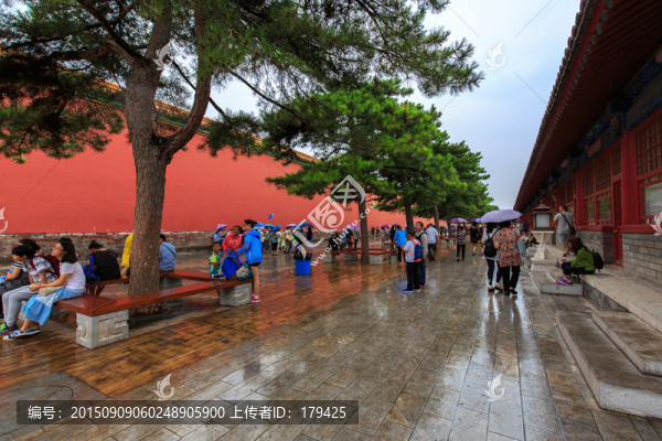 北京故宮紅墻松樹石板路