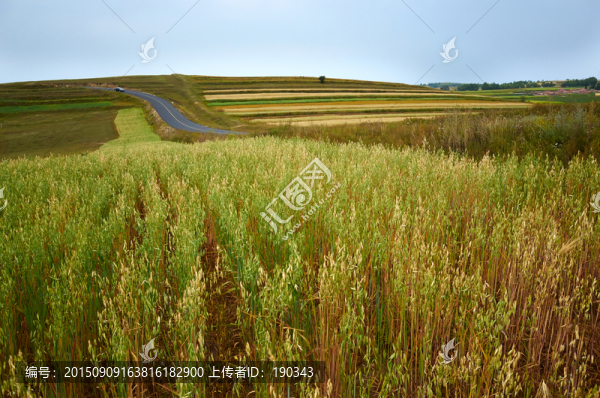 張北草原天路風光