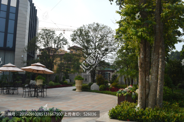 小區(qū)風(fēng)景