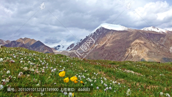 天山雪嶺