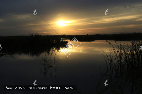 南海濕地