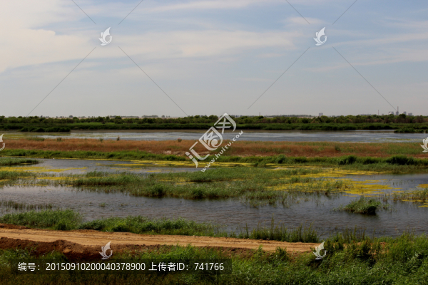 南海濕地
