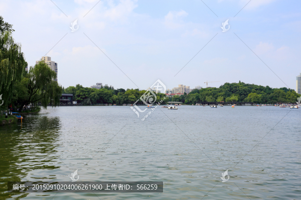 濕地公園