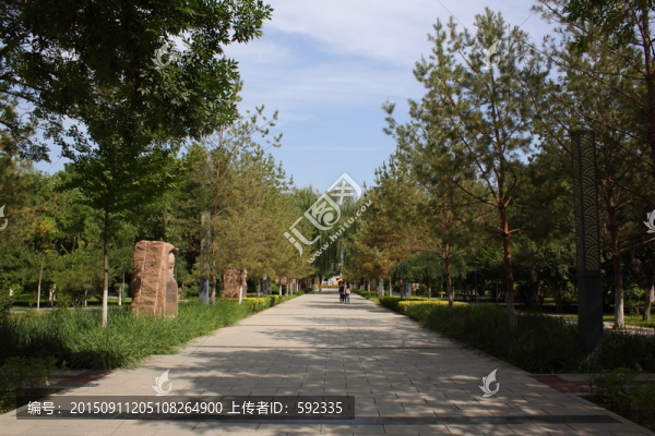 大學(xué)路