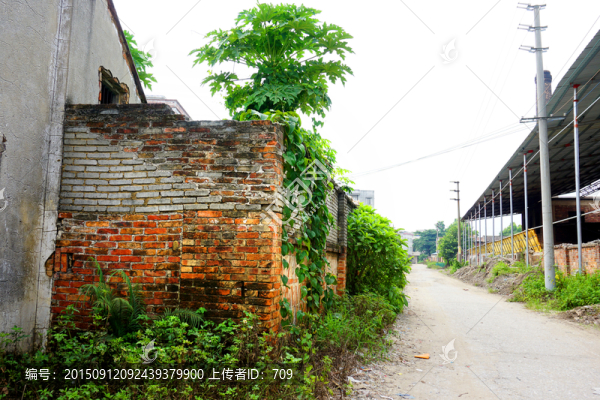 農(nóng)村建筑